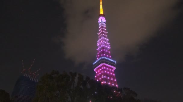 Tokyo Tower Japan Night View 2022 March — стокове відео