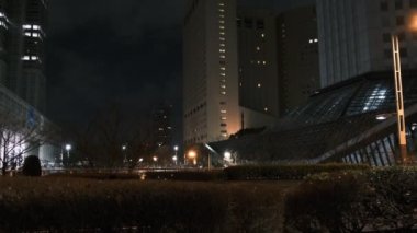 Tokyo Shinjuku Gece Manzarası 2022 Mart