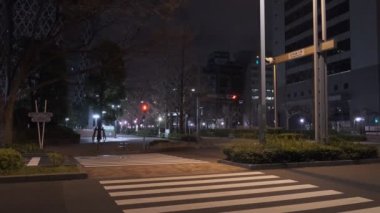 Tokyo Shinjuku Gece Manzarası 2022 Mart