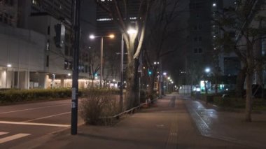 Tokyo Shinjuku Gece Manzarası 2022 Mart