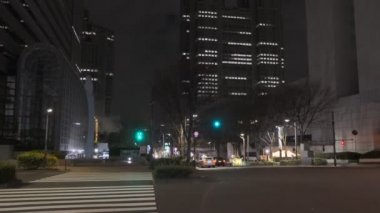 Tokyo Shinjuku Gece Manzarası 2022 Mart