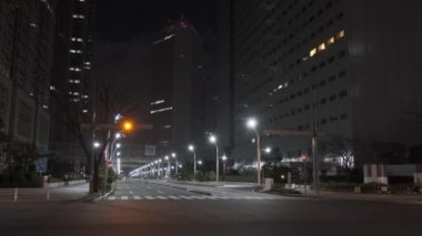 Tokyo Shinjuku Gece Manzarası 2022 Mart