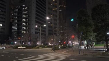 Tokyo Shinjuku Gece Manzarası 2022 Mart