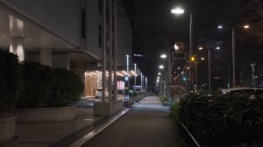 Tokyo Shinjuku Gece Manzarası 2022 Mart