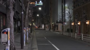 Tokyo Ginza Koridoru Sokak Gece Manzarası 2022 Mart