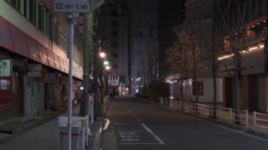 Tokyo Ginza Koridoru Sokak Gece Manzarası 2022 Mart