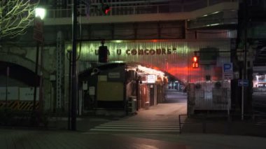 Tokyo Hibiya Yurakucho Gece Manzarası 2022