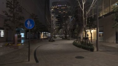 Tokyo Hibiya Yurakucho Gece Manzarası 2022