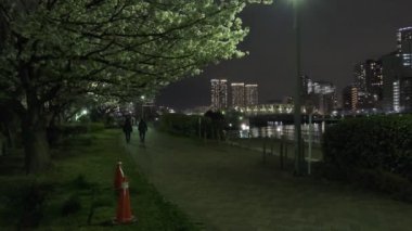 Tokyo Kiraz Çiçeği Gece Görüşü 2022