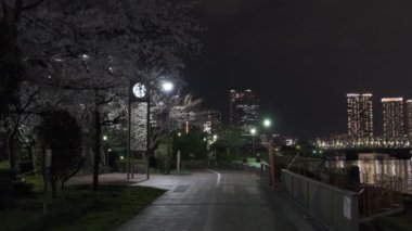 Tokyo Kiraz Çiçeği Gece Görüşü 2022