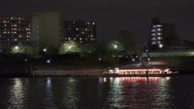 Tokyo Kiraz Çiçeği Gece Görüşü 2022