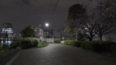Tokyo Kiraz Çiçeği Gece Görüşü 2022