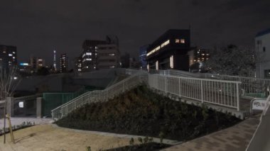 Tokyo Kiraz Çiçeği Gece Görüşü 2022