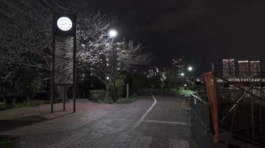 Tokyo Kiraz Çiçeği Gece Görüşü 2022