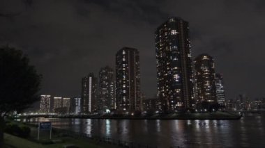 Tokyo Kiraz Çiçeği Gece Görüşü 2022