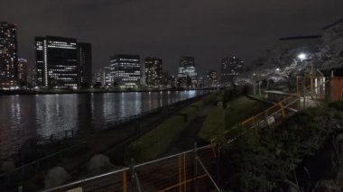 Tokyo Kiraz Çiçeği Gece Görüşü 2022