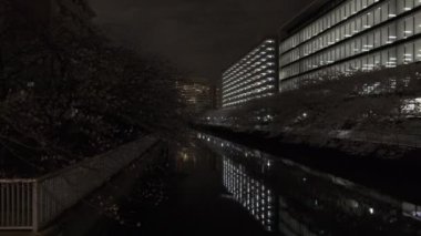 Tokyo Kiraz Çiçeği Gece Görüşü 2022