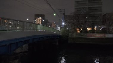 Tokyo Kiraz Çiçeği Gece Görüşü 2022