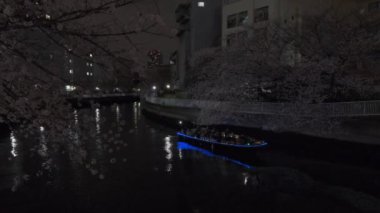 Tokyo Kiraz Çiçeği Gece Görüşü 2022
