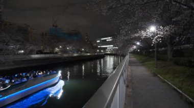 Tokyo Kiraz Çiçeği Gece Görüşü 2022