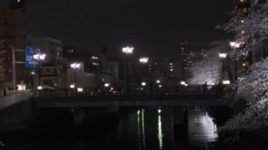 Tokyo Kiraz Çiçeği Gece Görüşü 2022