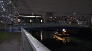 Tokyo Kiraz Çiçeği Gece Görüşü 2022