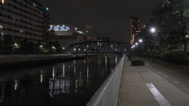 Tokyo Kiraz Çiçeği Gece Görüşü 2022