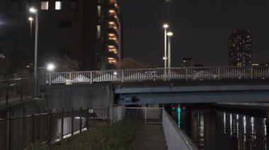 Tokyo Kiraz Çiçeği Gece Görüşü 2022