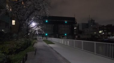 Tokyo Kiraz Çiçeği Gece Görüşü 2022