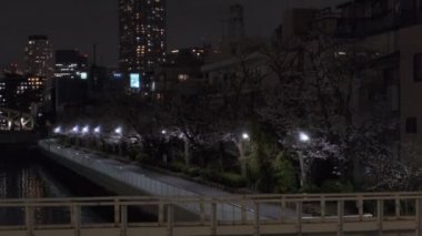 Tokyo Kiraz Çiçeği Gece Görüşü 2022