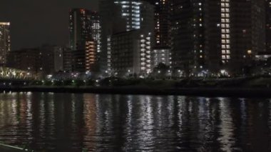 Tokyo Kiraz Çiçeği Gece Görüşü 2022