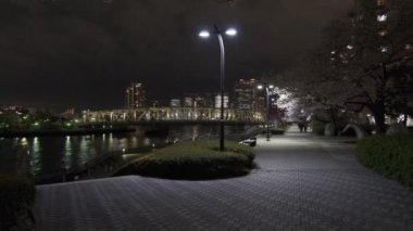 Tokyo Kiraz Çiçeği Gece Görüşü 2022