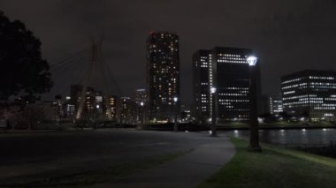 Tokyo Kiraz Çiçeği Gece Görüşü 2022