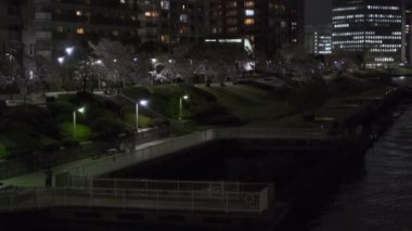 Tokyo Kiraz Çiçeği Gece Görüşü 2022