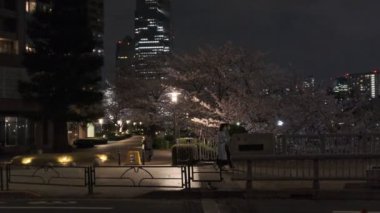 Tokyo Kiraz Çiçeği Gece Görüşü 2022
