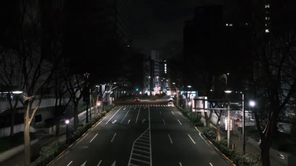 Tokio Shinjuku Vista Nocturna 2022 Marzo — Vídeo de stock