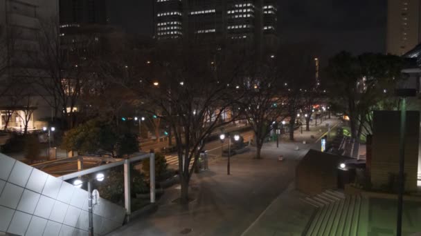 Tokyo Shinjuku Night View 2022 Marca — Wideo stockowe