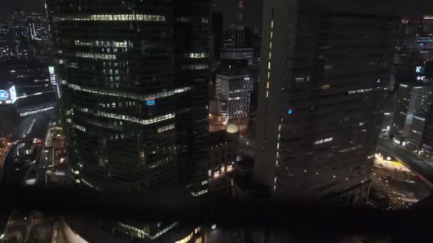 Tokio Shiodome Observatie Dek Nacht Uitzicht 2022 — Stockvideo