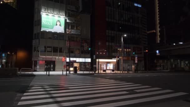 東京日比谷有楽町夜景2022 — ストック動画