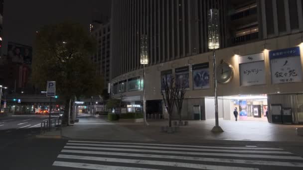 Tokyo Hibiya Yurakucho Nachtzicht 2022 — Stockvideo