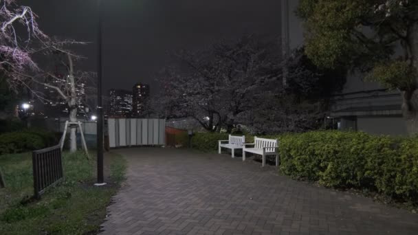 Tokio Flor Cerezo Vista Nocturna 2022 — Vídeo de stock