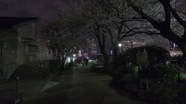 Tokio Kwiat Wiśni Widok Nocy 2022 — Wideo stockowe
