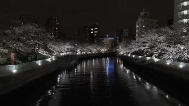 东京樱花夜景2022 — 图库视频影像