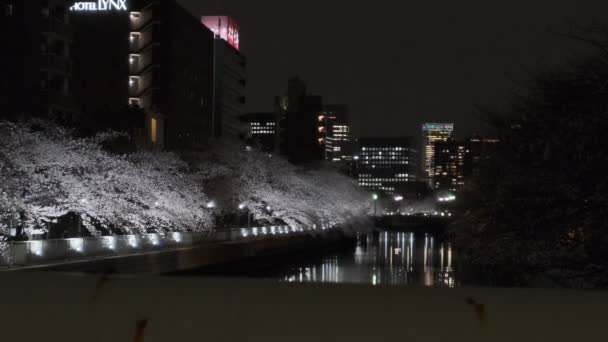 Tokio Kirschblüte Nachtsicht 2022 — Stockvideo