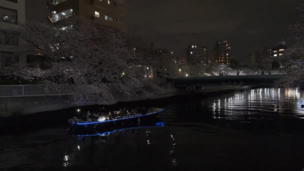 东京樱花夜景2022 — 图库视频影像