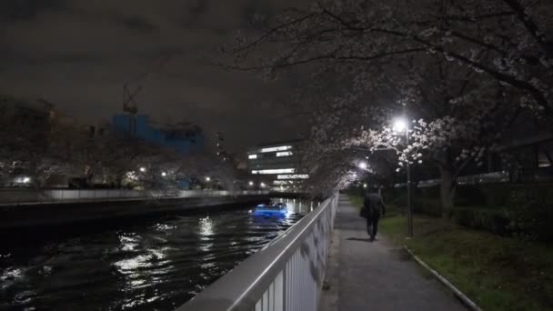Tokyo Cherry Blossom Vista Noturna 2022 — Vídeo de Stock
