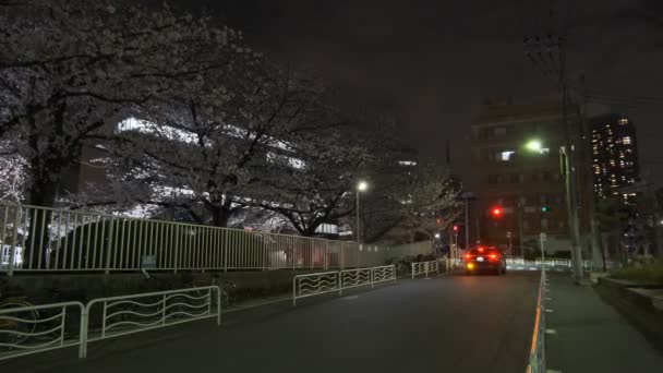 Tokió Cseresznyevirág Éjszakai Nézet 2022 — Stock videók