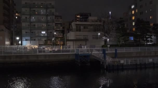 Tokio Flor Cerezo Vista Nocturna 2022 — Vídeo de stock