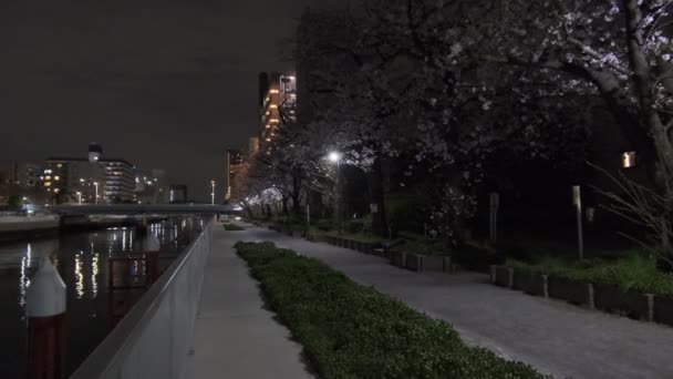 东京樱花夜景2022 — 图库视频影像