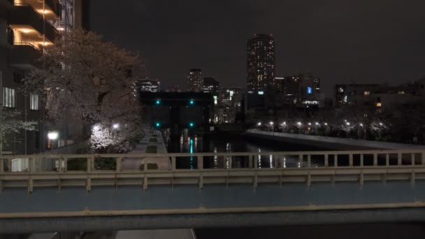 Tokio Kirschblüte Nachtsicht 2022 — Stockvideo